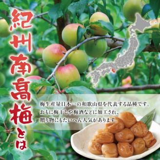 紀州南高梅　＜つぶれ梅＞うす塩2kg【ハチミツ入】塩分10%　なかやまさんちの梅干　ウメ　うめ【nky015-120k】