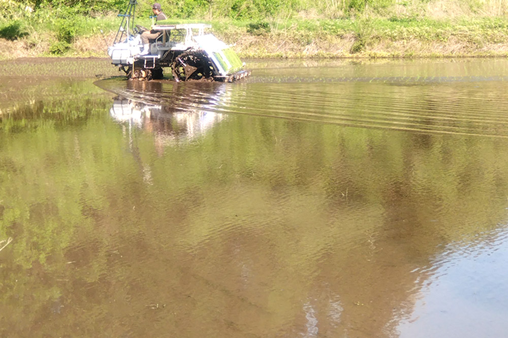 《令和7年産》あきたこまち 精米 10kg（5kg×2袋）秋田県 男鹿市産 吉元耕業 おにぎり お弁当|23_ymk-010201_イメージ4