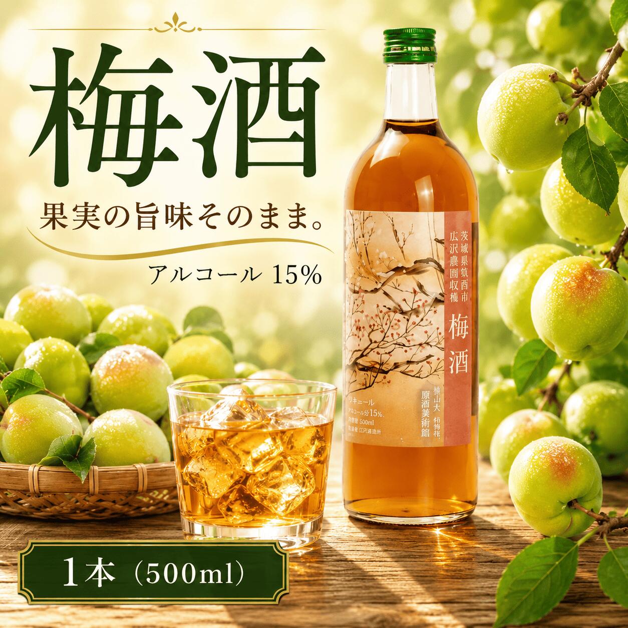【ふるさと納税】 梅酒 15％ 500ml アルコール うめしゅ 梅 うめ ウメ 果実酒 リキュール 酒 さけ お酒 おさけ 果物 かじつ フルーツ ume sake 飲み物 飲み会 水割り 炭酸割 ロック 水 炭酸 宴会 お取り寄せ 記念日 特選 プレゼント 贈答 ギフト 夏