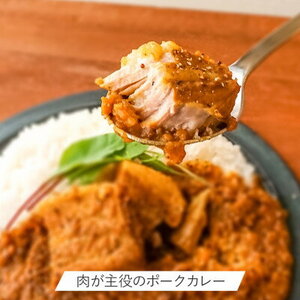 ポークカレー ・ チキンカレー 2種セット(各2食入り) カレー  カレー  カレー  カレー  カレー  カレー   ポークカレー チキンカレー