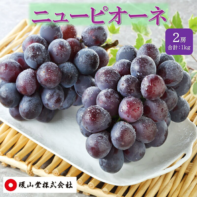 【ふるさと納税】ぶどう 2027年 先行予約 秋のニューピオーネ 2房 合計1.0kg ブドウ 葡萄 岡山県産 国産 フルーツ 果物 ギフト 環山堂　お届け：2027年8月20日～2027年9月30日