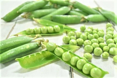 旬の野菜 詰め合わせセット 5品種 ( お楽しみ 産地直送 農家直送 季節 旬 おまかせ 春 夏 秋 冬 やさい サラダ 新鮮 玉ねぎ 人参 じゃがいも ピーマン 大根 なす キャベツ 等 豊浦町 川