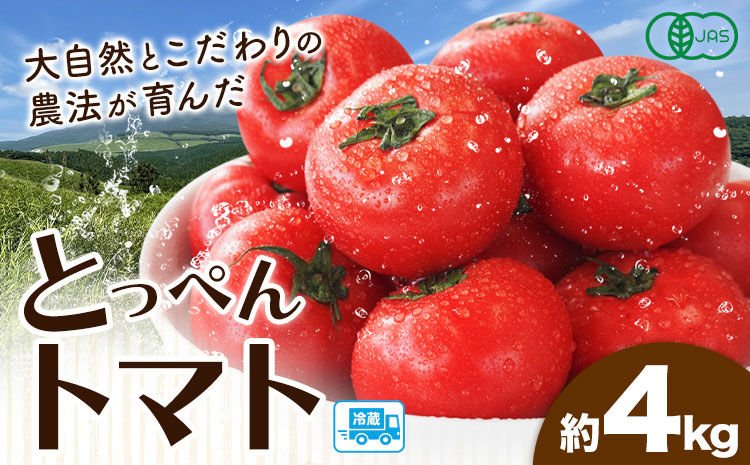 有機JASとっぺんトマト 約4kg 《7月上旬-8月下旬頃出荷》旬 お取り寄せ 詰め合わせ 贈答 ギフト お中元 お歳暮 熊本 阿蘇 産山村 送料無料 トマト 無農薬 有機---ubuyama_swm