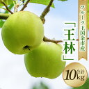 【ふるさと納税】【2024年11月25日以降発送】フルーツ王国余市産「王林」10kg【ニトリ観光果樹園】 果物 アップル 林檎 りんご 果物 くだもの フルーツ ギフト 贈答 贈り物 デザート おやつ ジュース アップルパイ ゼリー ジャム お取り寄せ 先行予約 北海道 余市町 送料無料