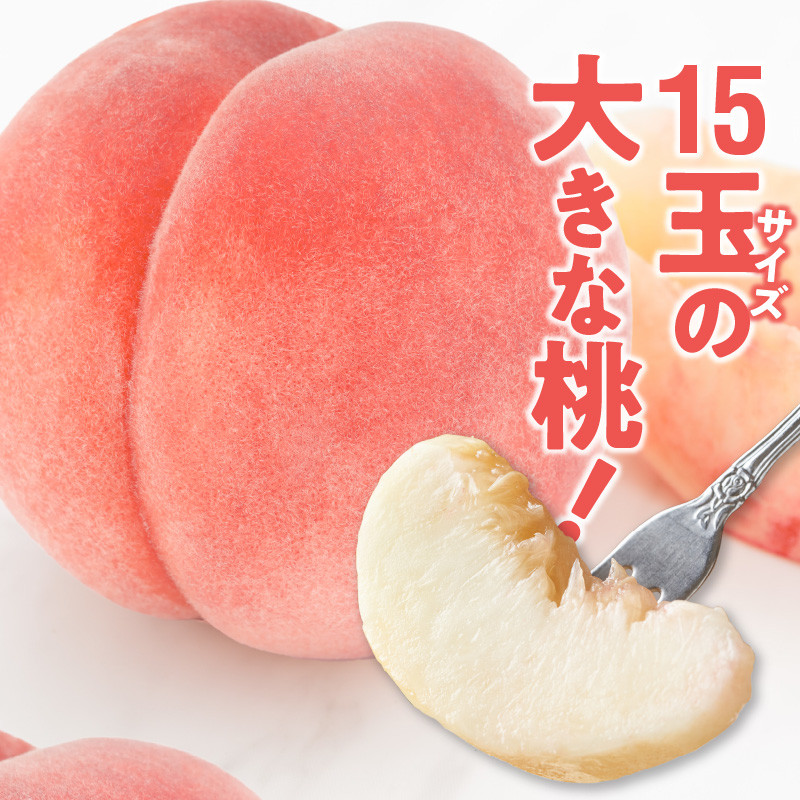 【数量限定】 しのおかの大きな桃(白鳳・特秀クラス）