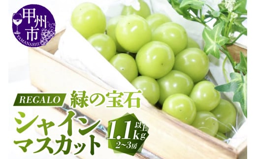 頬張る幸福感 ～緑の宝石・シャインマスカット～ 1.1kg以上（2～3房）【2025年発送】（RG）B-846 【シャインマスカット 葡萄 ぶどう ブドウ 令和7年発送 期間限定 山梨県産 甲州市 フルーツ 果物】