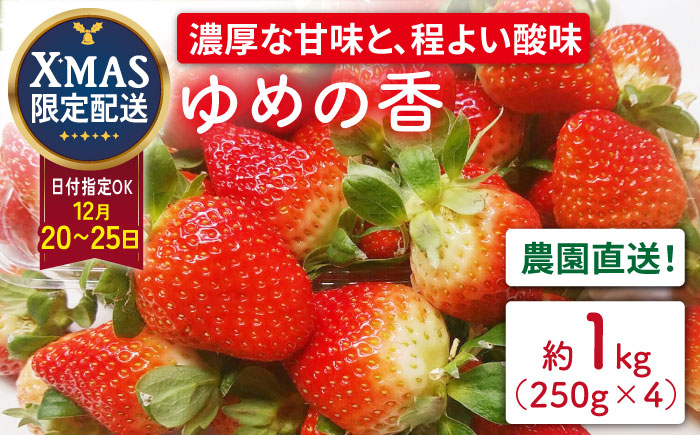 
【12月20日～25日日時指定 クリスマス用】いちご ゆめの香 約1kg（250g×4パック）長崎県/わたる農園 [42AABB007] イチゴ 苺 ゆめのか 長崎県 ながさき 長崎 果物 くだもの フルーツ ケーキ
