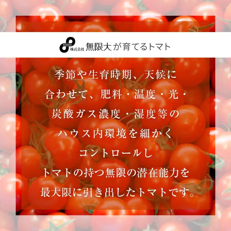 定期便 ≪2ヶ月連続お届け≫ フルーツミディトマト 約1kg × 2回 トマト 野菜 [m37-a026]