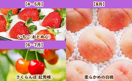 【定期便6回】フルーツBOX -定期便 6回- FY25-287