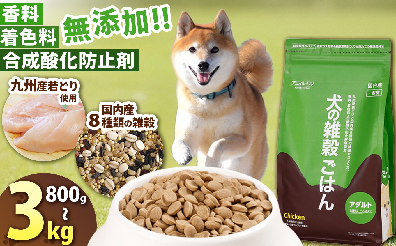 
            選べる 容量 800g 1.6kg 3kg アニマル・ワン 雑穀ごはん | 愛犬 犬 ドッグフード 雑穀 国産 無添加 プレミアム 熊本県 玉名市
          