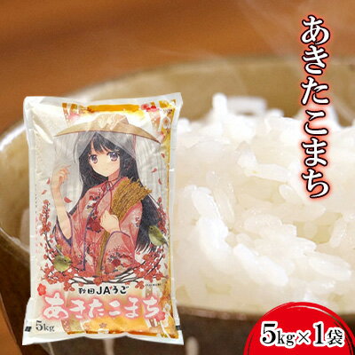 【ふるさと納税】【令和6年度産　1月中旬以降発送】美少女イラスト 粒がひと回り大きい 高品質米 あきたこまち5kg お米 粒が大きい ふっくら 甘み 　お届け：2025年11月上旬より順次配送