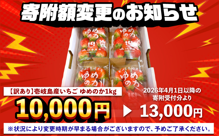 【訳あり/簡易包装】ゆめのか 約250g×4パック《壱岐市》【Strawberry Gang】 [JEM003] イチゴ 苺 果物 フルーツ スムージー 13000 13000円 冷蔵配送 訳あり 【