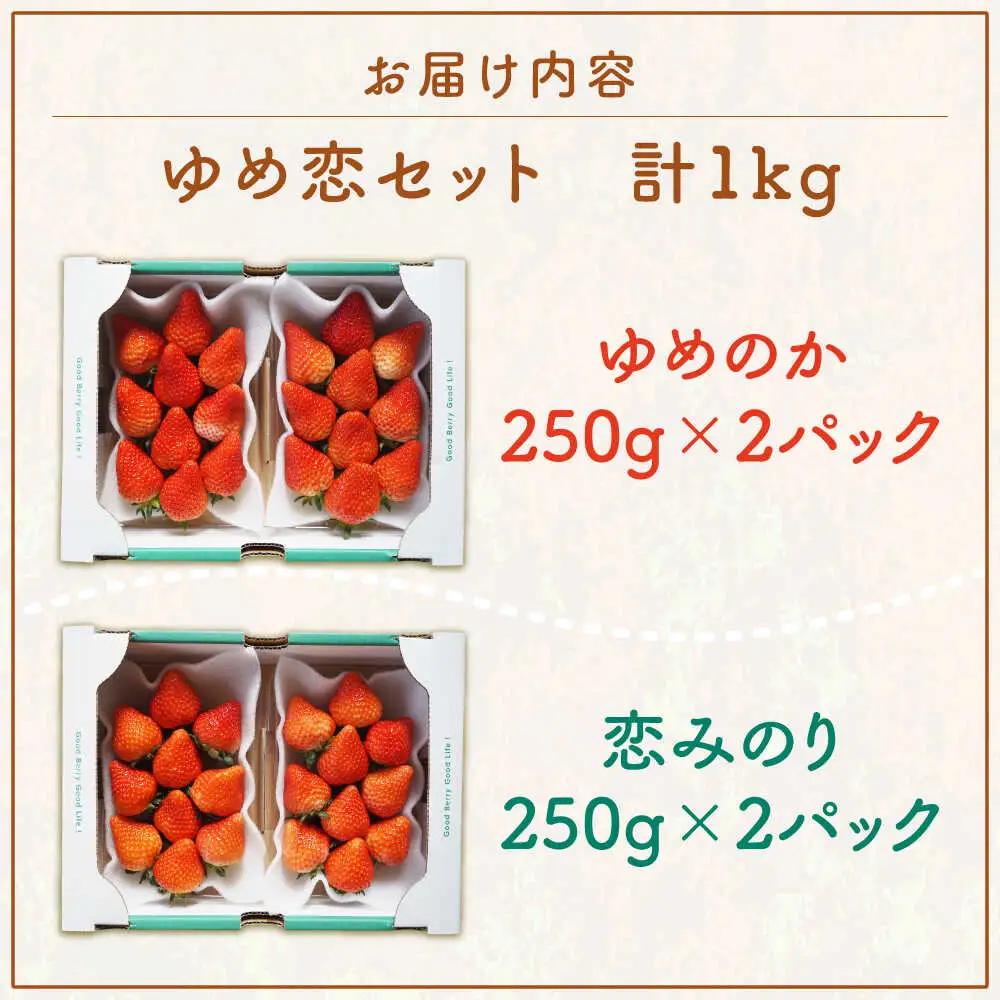【先行予約】いちごセット（ゆめのか・恋みのり） [JEO001] 