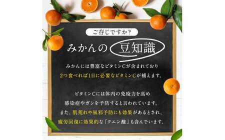 尾崎 温州 みかん 約 10kg 柑橘 フルーツ 果物 名産地 天水ﾐｶﾝﾐｶﾝﾐｶﾝﾐｶﾝﾐｶﾝﾐｶﾝﾐｶﾝﾐｶﾝﾐｶﾝﾐｶﾝﾐｶﾝﾐｶﾝﾐｶﾝﾐｶﾝﾐｶﾝﾐｶﾝﾐｶﾝﾐｶﾝﾐｶﾝﾐｶﾝﾐｶﾝﾐｶﾝ