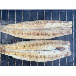 【国産うなぎ】大サイズ140g -170g　三河一色産　2尾セット　炭火白焼き【配送不可地域：離島】【1659391】