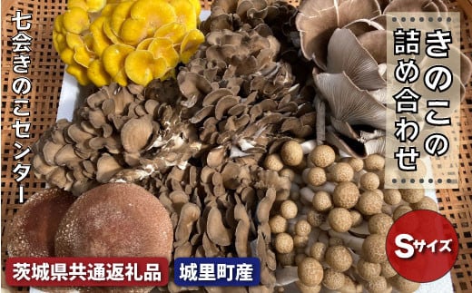茨城産 きのこの詰め合わせSサイズ 約1kg まいたけ しいたけ あわびたけ たもぎたけ はなびらたけ きのこ キノコ 茸 詰め合わせ セット （茨城県共通返礼品・城里町産）