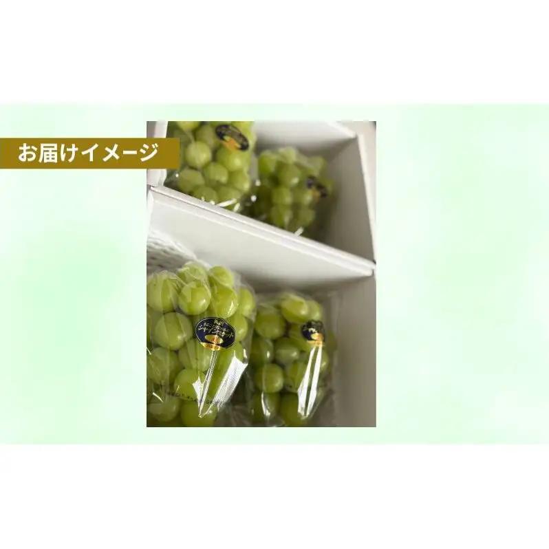 シャインマスカット 晴王 岡山県産 シャインマスカット【約1kg 2房】
