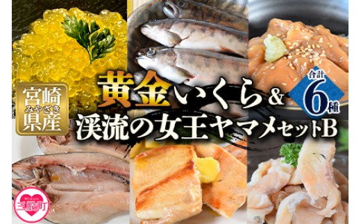 
                  ＜黄金イクラと渓流の女王ヤマメ逸品セットB＞(6種)黄金イクラやヤマメなどを詰め合せ！国産 九州産 宮崎 いくら 魚卵 やまめ 一夜干し やまめ漬け フィレ スモーク マリネ おかず 水産物 詰め合わせ テレビ 紹介 テレビで話題 テレビ放送後 メディア掲載 今話題の 黄金いくら【B-0206-sk】【有限会社しゃくなげの森】
                