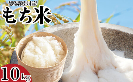 もち米 10kg 米 10キロ コメ 餅つき 須見商店 阿波市 徳島県 もち米 もち米 もち米