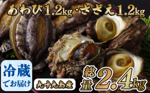 
                  九十九島産 あわび さざえ セット 2.4kg ( 鮑 1.2kg 栄螺 1.2kg ) 産地直送 新鮮 鮑 アワビ 魚貝 魚介 貝 海鮮 長崎県 佐世保市
                