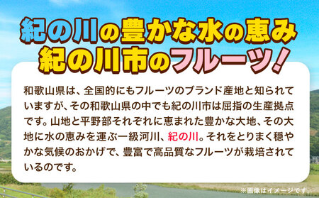 先行予約 紀の姫キウイフルーツ約3.6kg