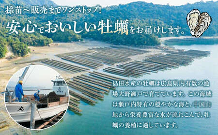 島田水産　Shimada　Oyster　生かき500ｇ（加熱用）