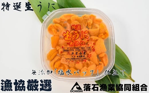 F-20011 無添加エゾバフンウニ塩水パック100g×2P