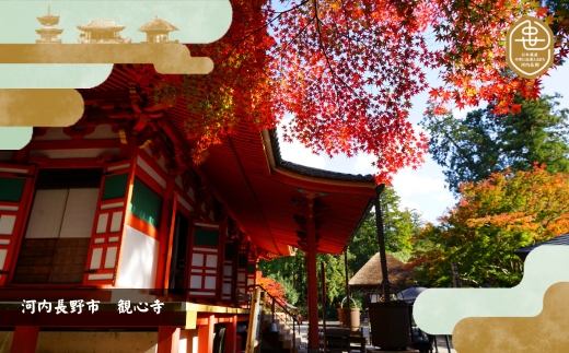 歴史と生姜が香る 薬膳精進カレー 観心寺 金剛寺 延命寺 住職発案 人気レストラン 創作精進料理KU-RI 監修 肉 魚 五辛 不使用 健康 簡単調理 レトルトパック こだわりの逸品 地域特産品 ギフ