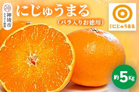 【2026年3月上旬より発送開始】にじゅうまる 約5kg バラ入りお徳用【佐賀県 みかん 柑橘 果物 くだもの フルーツ】(H116162)