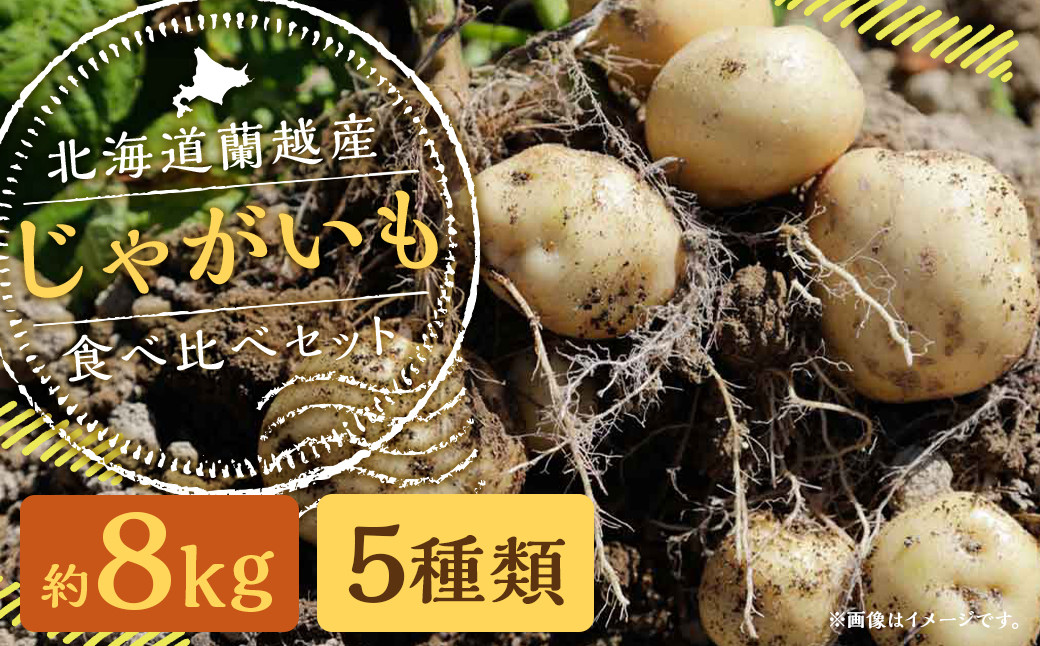 
                  北海道 蘭越産 じゃがいも 食べ比べ 5種類セット 合計約8kg （各800g×2袋）【2026年11月上旬~2027年4月上旬発送予定】
                