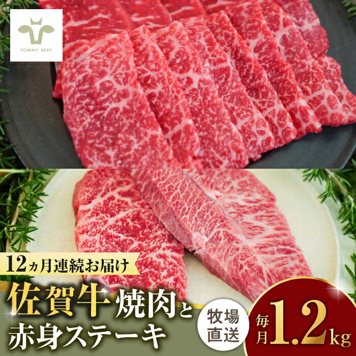 【ふるさと納税】【牧場直送】【全12回定期便】焼肉とステーキセット！佐賀牛希少部位焼肉600gと赤身ステーキ600g 計14.4kg（600g×2種×12回） 佐賀県/有限会社佐賀セントラル牧場[41ASAA048]