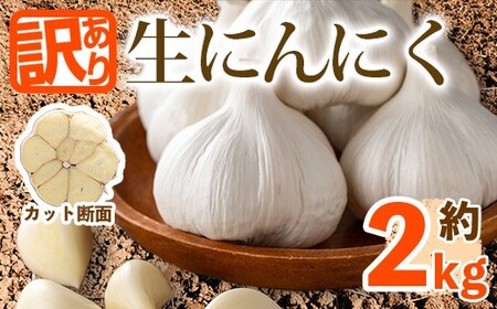 ＜先行予約！2027年5月上旬以降順次発送予定＞＜訳あり・家庭用＞香川県産 生にんにく(約2kg) 国産 野菜 生ニンニク 産地直送 【man068】【Aglio nero】