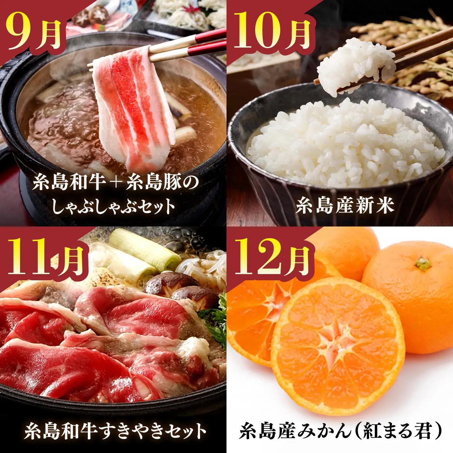 【限定30セット】伊都菜彩 プレミアム 定期便 ( 2人前 ) 糸島の山の幸、海の幸が詰まったバイヤーオススメの年間定期便 糸島市 / JA糸島産直市場 伊都菜彩 [AED011]