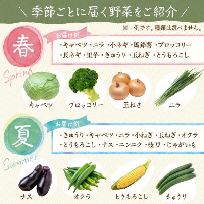 ふるさと納税 宗像市 【定期便/年12回/毎月お届け】旬のお野菜詰合せセット【道の駅むなかた】_HB0124 |  | 01