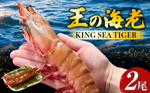 【数量限定！特別価格】〈高級〉KING SEA TIGER 王の海老2尾・K305-12