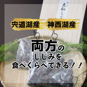 厳選 冷凍 しじみ 1kg (各500g×1袋) 宍道湖産 神西湖産 食べ比べセット）| しじみ