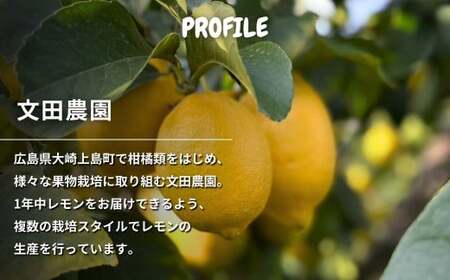 芳醇! 文田農園のレモン 約3kg 2~3月発送 瀬戸内 広島 大崎上島 離島 柑橘 檸檬 露地栽培 果物 フルーツ 贈答用 ギフト 送料無料 産地直送
