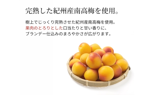 N017　にごり梅酒　熊野かすみ