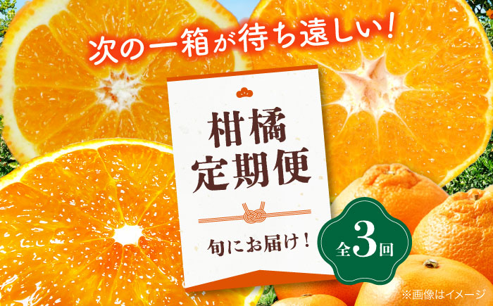 
            【全3回定期便】　大洲の旬果をお届け！柑橘定期便 紅まどんな デコポン 不知火 甘平 みかん ミカン 紅マドンナ フルーツ 紅まどんな 愛媛県大洲市/株式会社フジ・アグリフーズ [AGBA015]
          