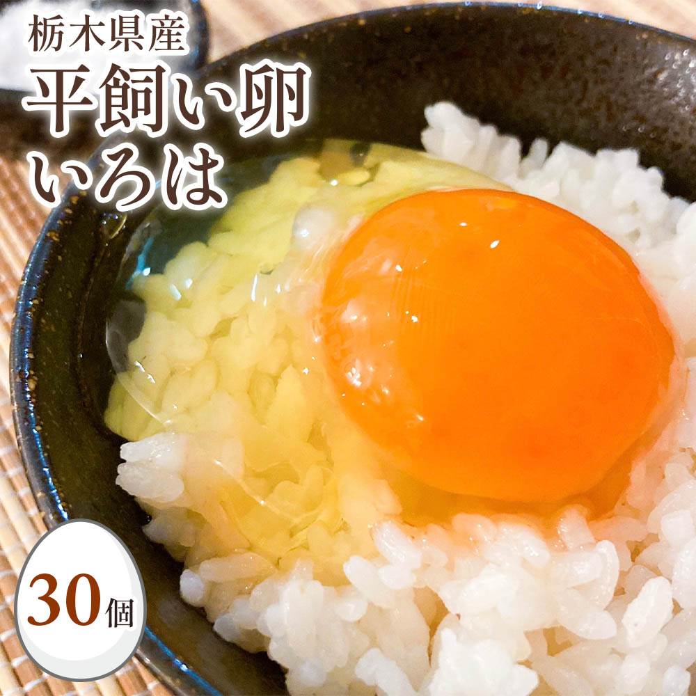 【ふるさと納税】[平飼い卵30個] 全体的に甘みとコクのある黄身が特徴 ワタナベファームの優等生な末っ子【平飼い卵いろは】定期便あり｜矢板市産 こだわり卵 たまご 玉子 生卵 鶏卵 栃木県 矢板市