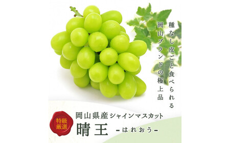 【定期便全3回】もも ぶどう 晴れの国岡山フルーツ定期便（７月・８月・９月お届け）岡田青果