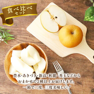 【2026年先行予約】 千葉県産 梨 食べ比べセット 約 2.5kg 2種以上 【 梨 】