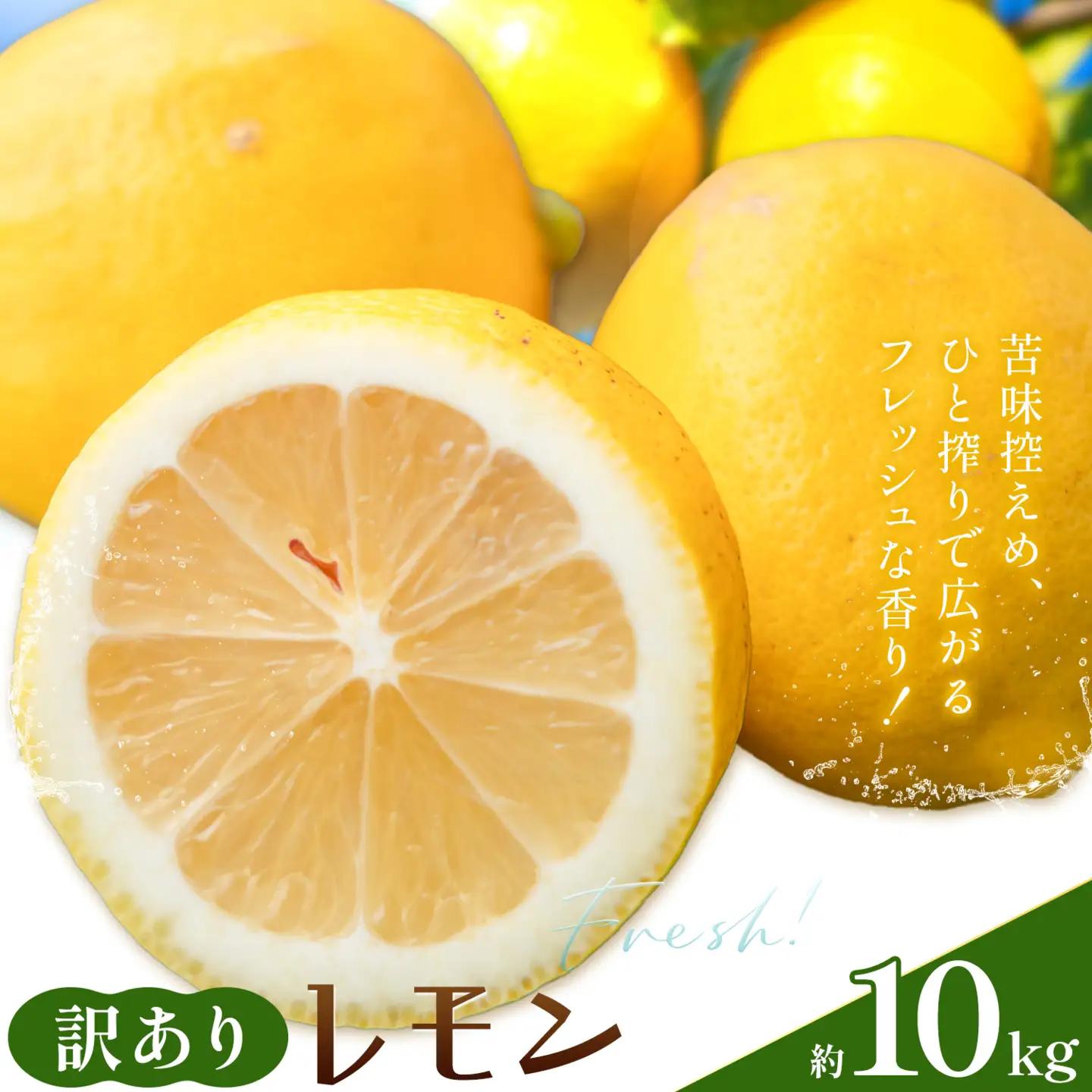 レモン 訳あり 黄色 檸檬 10kg (1kgあたり5-12玉前後) 株式会社農業福祉研究機構《2026年12月上旬-2027年2月上旬頃出荷》和歌山県 紀の川市 フルーツ 果物 お取り寄せフルーツ