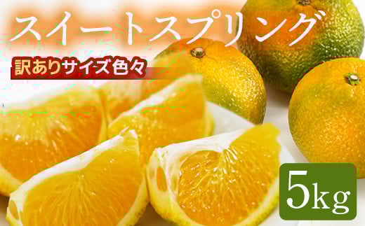 
            鹿児島県産スイートスプリング 5kg AS-0120
          