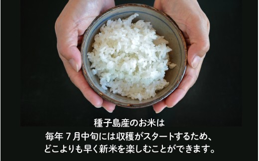 令和8年産 新米 なつほのか コシヒカリ 食べ比べセット 計4kg（2kg×各1袋）  お米 こめ コメ 精米 白米 南種子町 鹿児島 かごしま【株式会社こめこめアイランド】