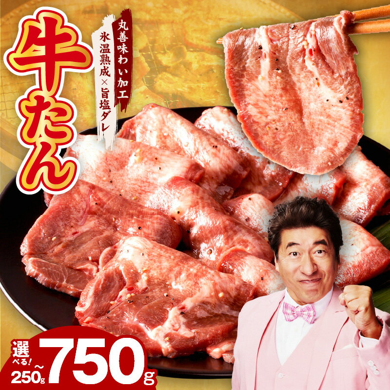【ふるさと納税】【訳あり】 牛たん 250g / 750g サイズ不揃い 【氷温熟成×旨塩ダレ】 特別規格 55キャンペーン 氷温熟成牛 牛肉 熟成肉 極味付け ふるさと納税オリジナル 限定 丸善旨塩ダレ 発送時期 選べる 大阪府 泉佐野市 送料無料 肉の泉佐野