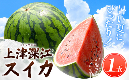 スイカ 1玉 ｜スイカスイカスイカ 髙橋商店
