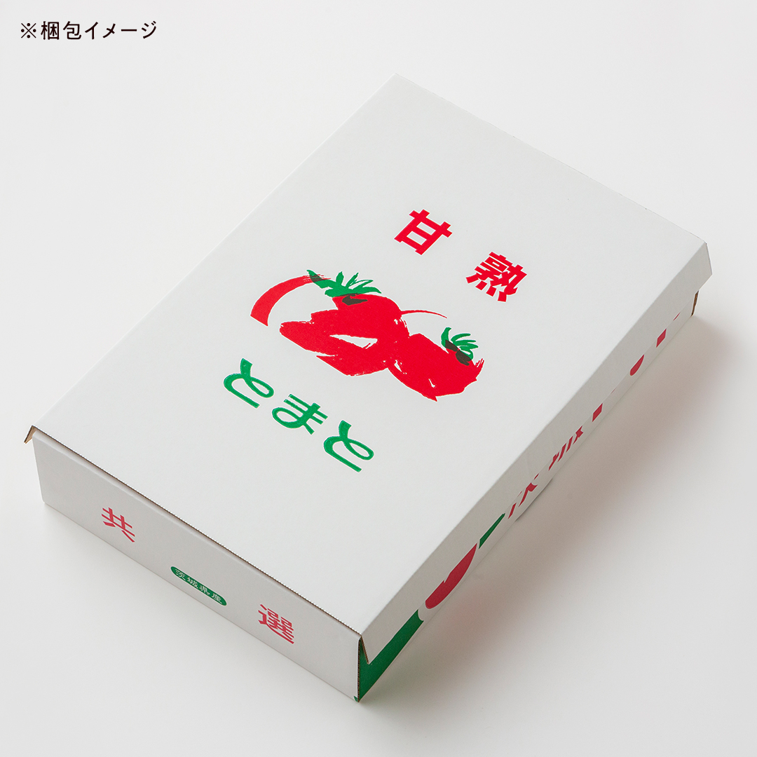 【 先行予約 】【数量限定】-太陽の味- 渋谷トマト トマト