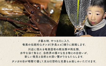 夕暮れタンガ捕り 体験 1名様 奄美大島 宇検村 鹿児島県 旅行 自然 冒険 完全プライベート