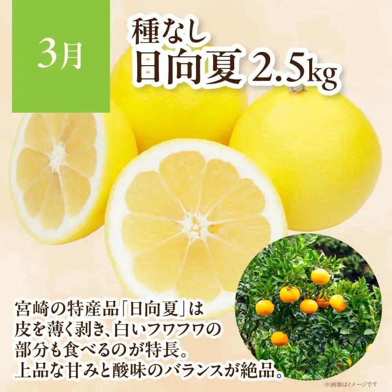 【4ヶ月定期便】 JA綾町 いつでもフルーツ定期便 《きんかん／日向夏／マンゴー／ライチ》 果物 フルーツ くだもの 柑橘 完熟きんかんたまたま 種なし 完熟マンゴー おすすめ おすそ分け おやつ ス